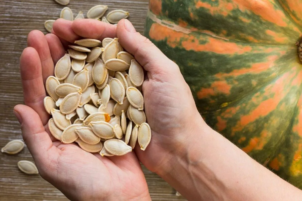 Kurpitsansiemenet – luonnon oma monitoimilääke, joka hoitaa eturauhasen, unen, kolesterolin, nivelet ja vatsan samassa paketissa