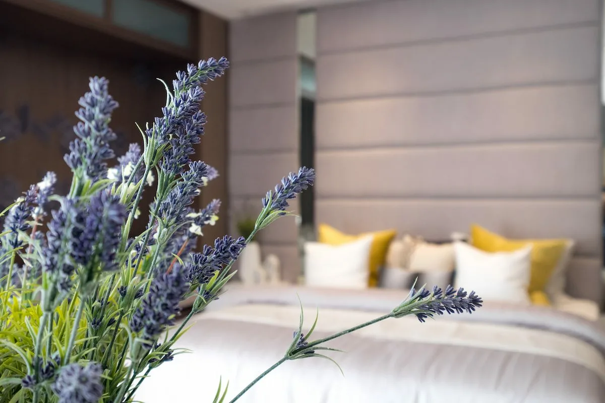 Laventeli makuuhuoneessa: Yrtti, joka muuttaa unettomat yöt syväksi palautumiseksi
