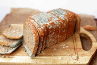 Miksi leipä homehtuu ja miksi homeista leipää ei koskaan kannata syödä – lääkärin karu totuus