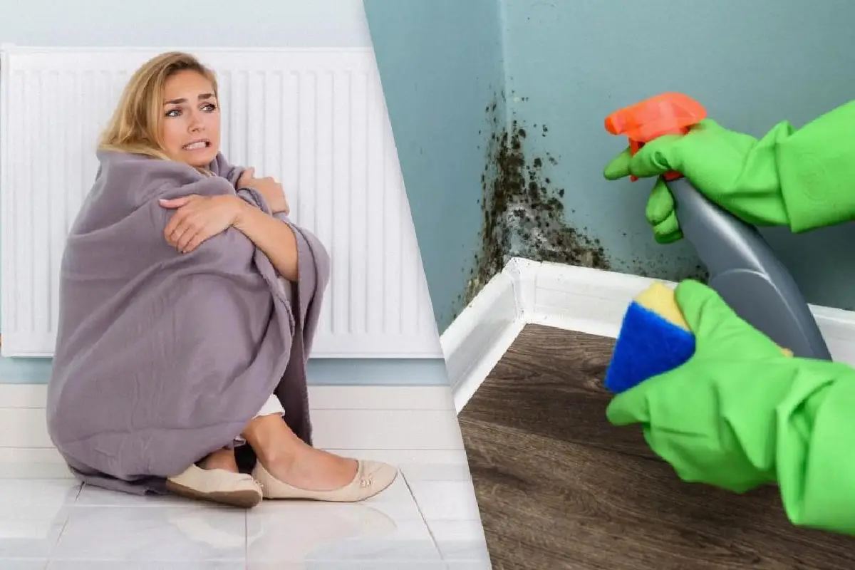 Muotti kylmissä taloissa – miksi se leviää ja miten pääset eroon siitä pysyvästi!