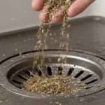 Miksi heittää oreganoa viemäriin – luonnollinen tapa raikastaa koti ja putket