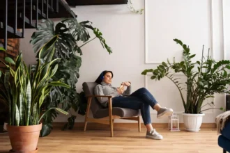 Rahakasvi – joulukuussa istutettava viherkumppani, joka tuo vaurautta, iloa ja uuden alun energiaa koko vuodelle 2026