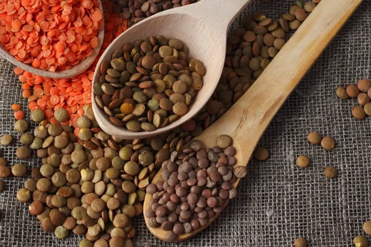 5 ruokaa, joissa on rautaa moninkertainen määrä verrattuna pinaattiin