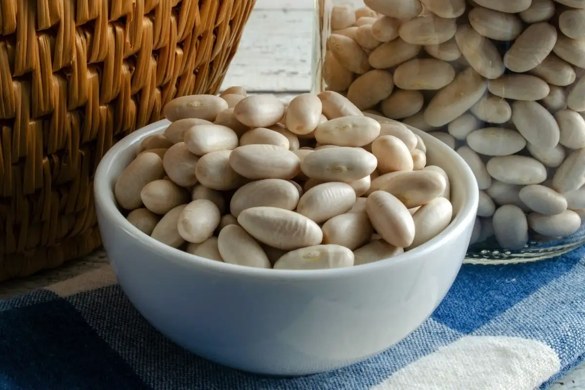 5 ruokaa, joissa on rautaa moninkertainen määrä verrattuna pinaattiin