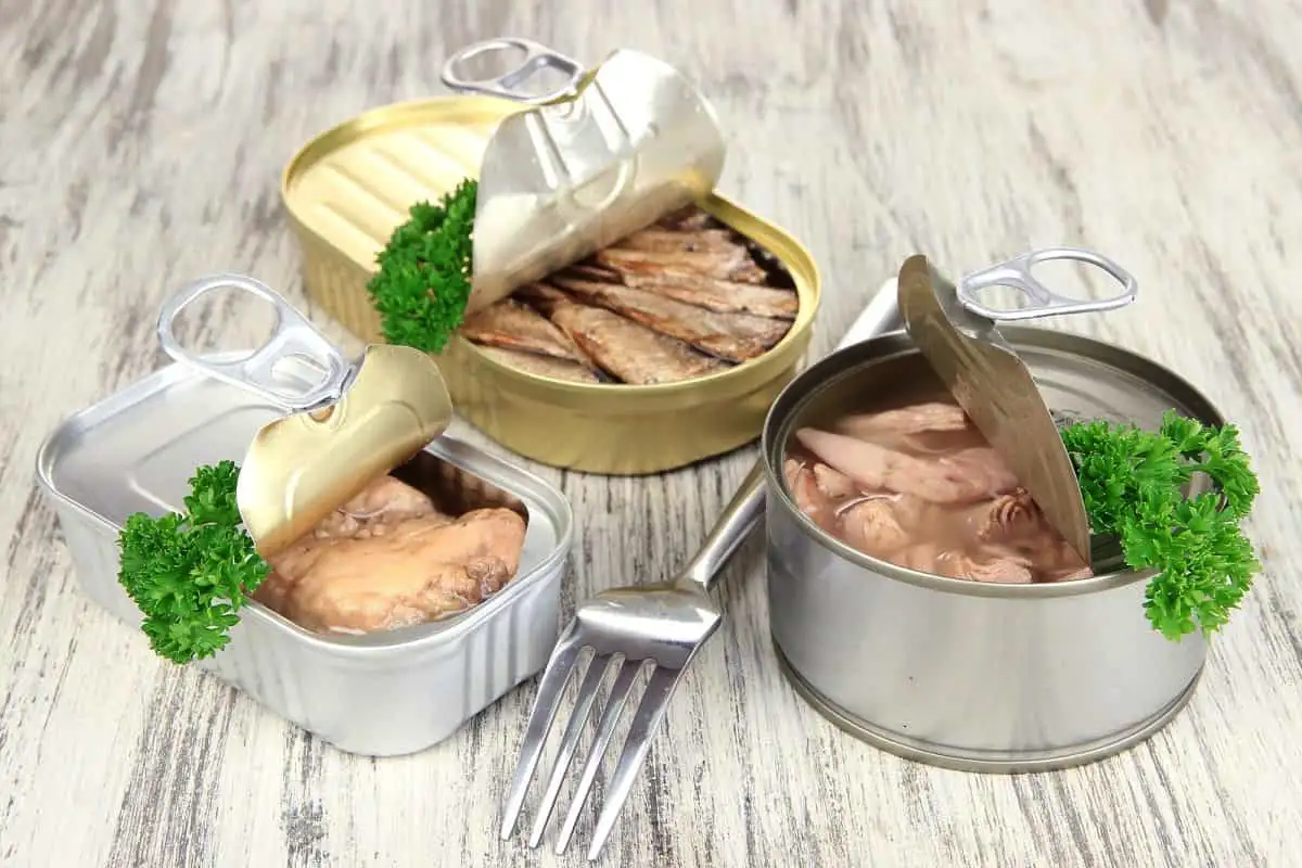 Sardiinit vs tonnikala: kumpi on oikeasti terveellisempi, edullisempi ja ekologisempi valinta? Ravitsemusterapeutin täydellinen 360° vertailu, joka pakottaa melkein kaikki vaihtamaan purkin pysyvästi