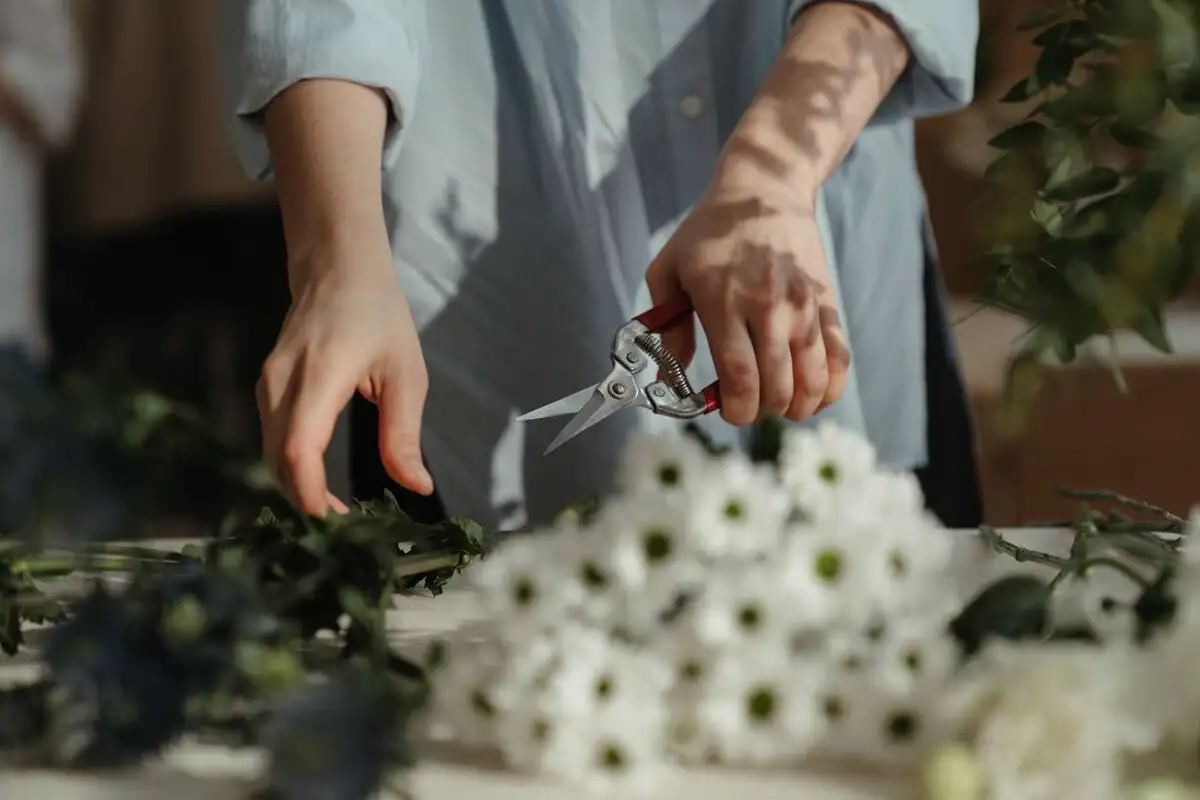 Mikä kukka olet syntymäpäiväsi mukaan – salainen koodi, joka paljastaa sielusi koko tarinan