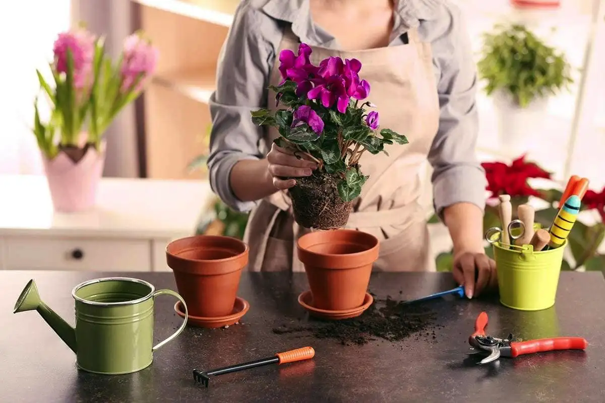 Mikä kukka olet syntymäpäiväsi mukaan – salainen koodi, joka paljastaa sielusi koko tarinan