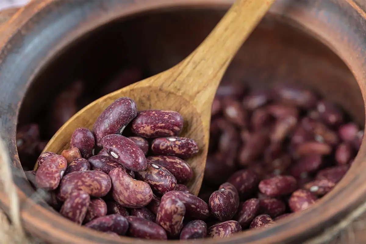 Monitoimikeitin ei ole taikakattila: 12 tuotetta, joita ei saa laittaa monitoimikeittimeen – muuten ruoka menee täysin pilalle