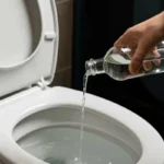 Miksi fiksuin asia, jonka voit tehdä illalla, on kaataa lasillinen etikkaa vessanpönttöön – ja miksi et halua enää koskaan lopettaa