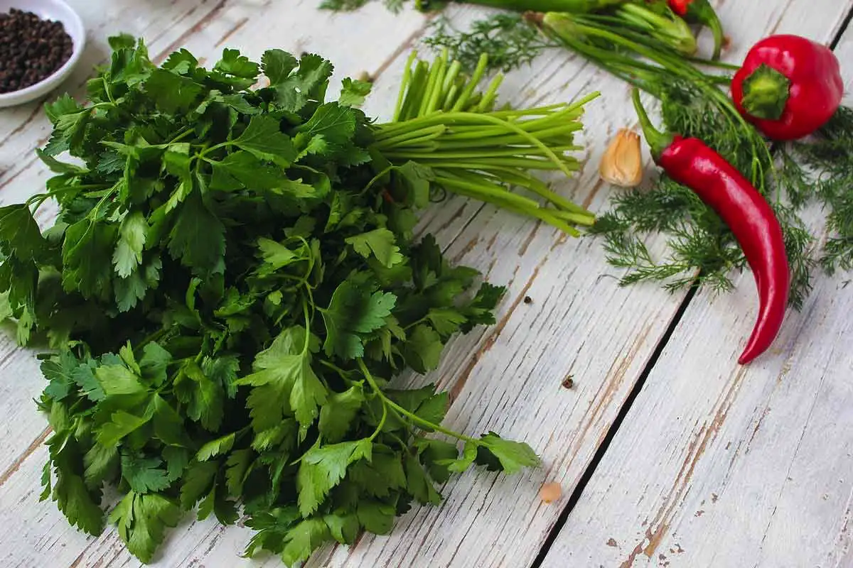 7 yrttiä ja maustetta, jotka auttavat alentamaan verenpainetta – Luonnollinen tuki sydänterveydelle