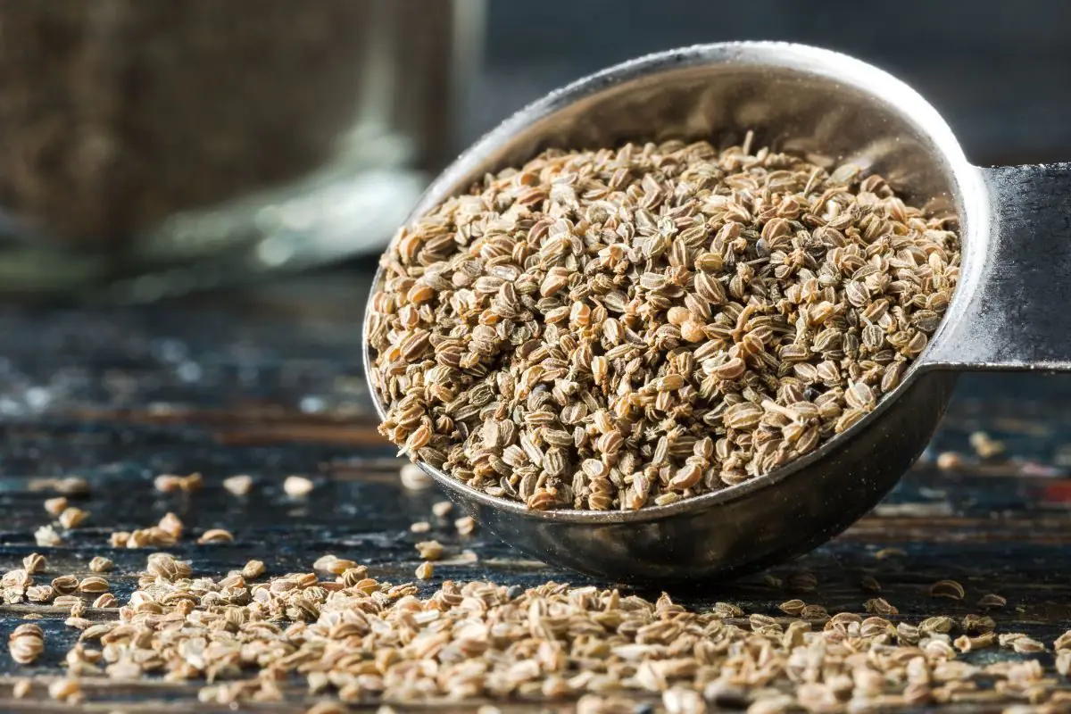 7 yrttiä ja maustetta, jotka auttavat alentamaan verenpainetta – Luonnollinen tuki sydänterveydelle