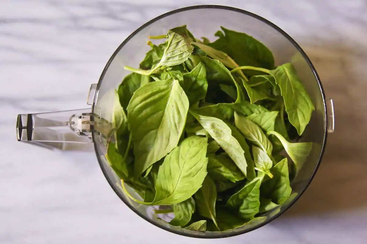 Basilikavesi appelsiininkuorilla – se luonnollinen tuoksutaika, joka vie kodin hajut, hyönteiset ja huonon energian mennessään