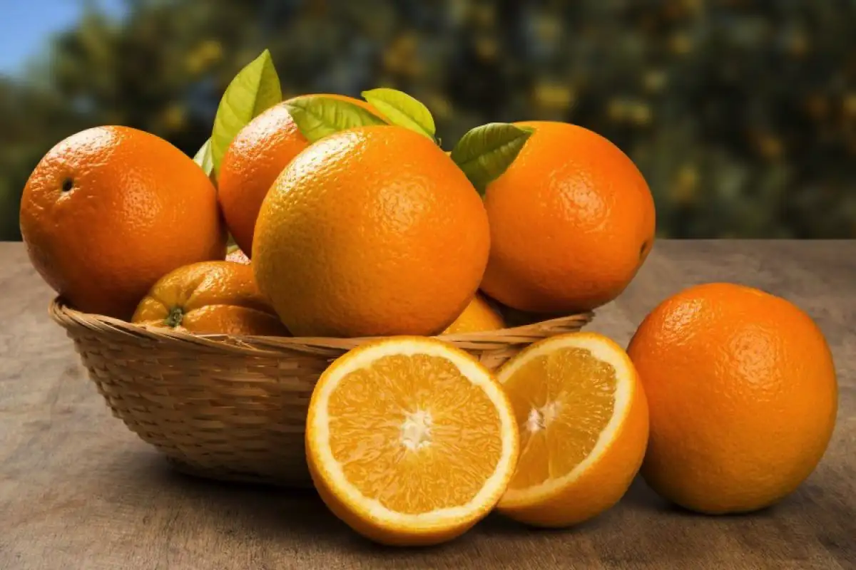 Basilikavesi appelsiininkuorilla – se luonnollinen tuoksutaika, joka vie kodin hajut, hyönteiset ja huonon energian mennessään