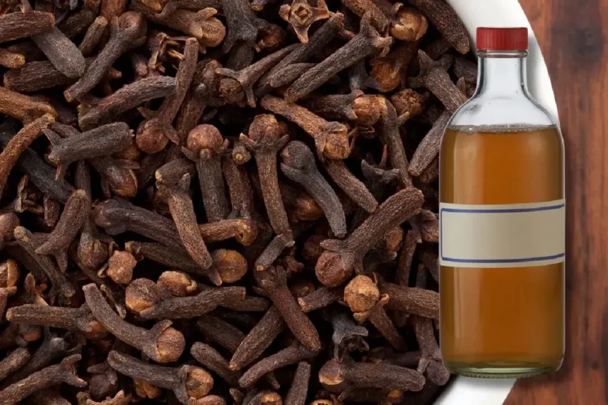 Etikka ja neilikka kattilassa – tämä konsti tyhjentää koko asunnon torakoista, etanoista ja muista kutsumattomista vieraista keskellä talvea