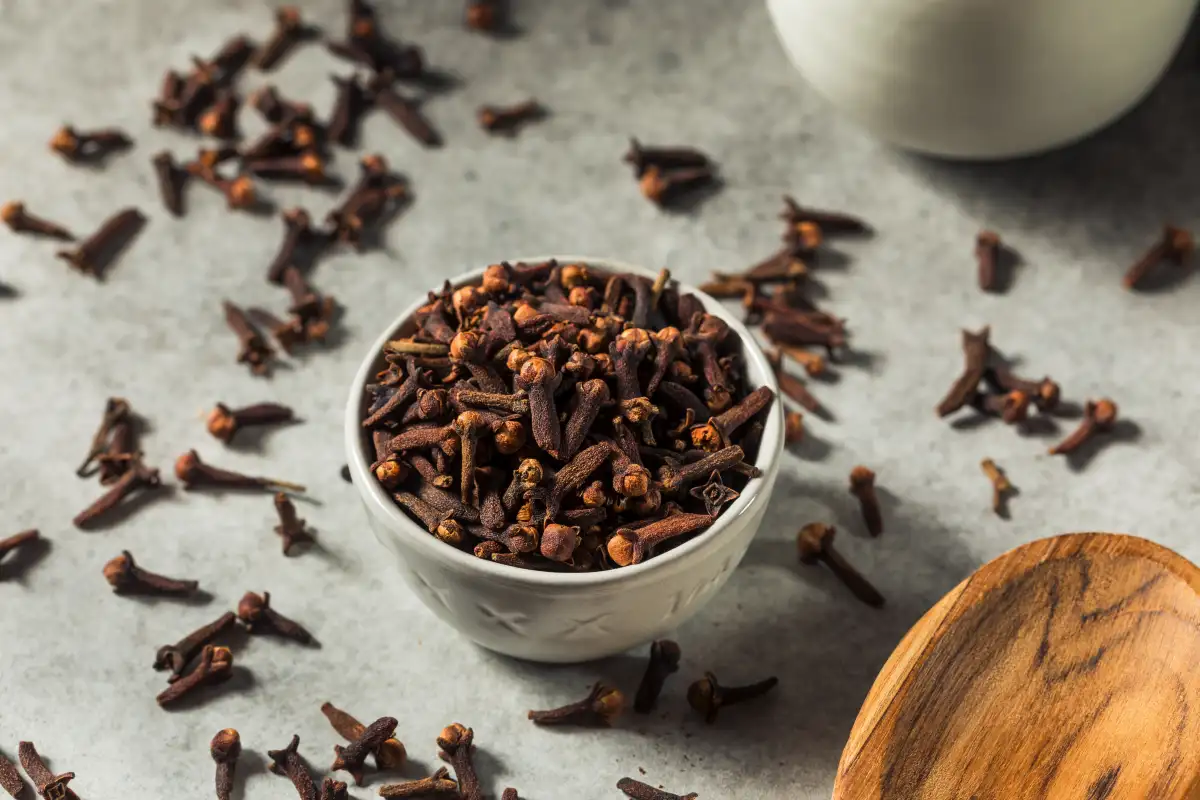 Etikka ja neilikka kattilassa – tämä konsti tyhjentää koko asunnon torakoista, etanoista ja muista kutsumattomista vieraista keskellä talvea