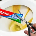 Miksi tuhannet suomalaiset ovat alkaneet tiputtaa hammastahnaa suoraan pönttöön joka ilta – ja miksi sinunkin kannattaa aloittaa tänään