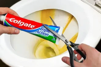 Miksi tuhannet suomalaiset ovat alkaneet tiputtaa hammastahnaa suoraan pönttöön joka ilta – ja miksi sinunkin kannattaa aloittaa tänään