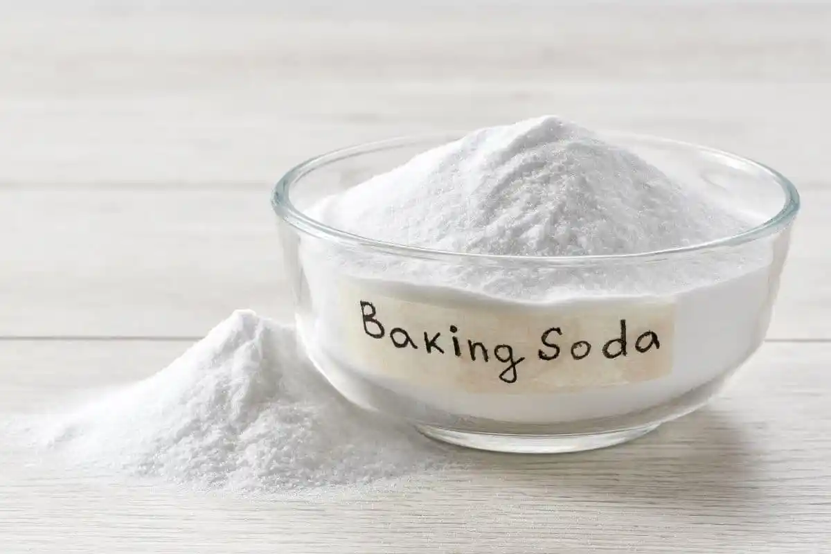 Huonekasvien pelastus – miksi ruokasooda on paras ystävä, jonka viherkasvisi voivat saada