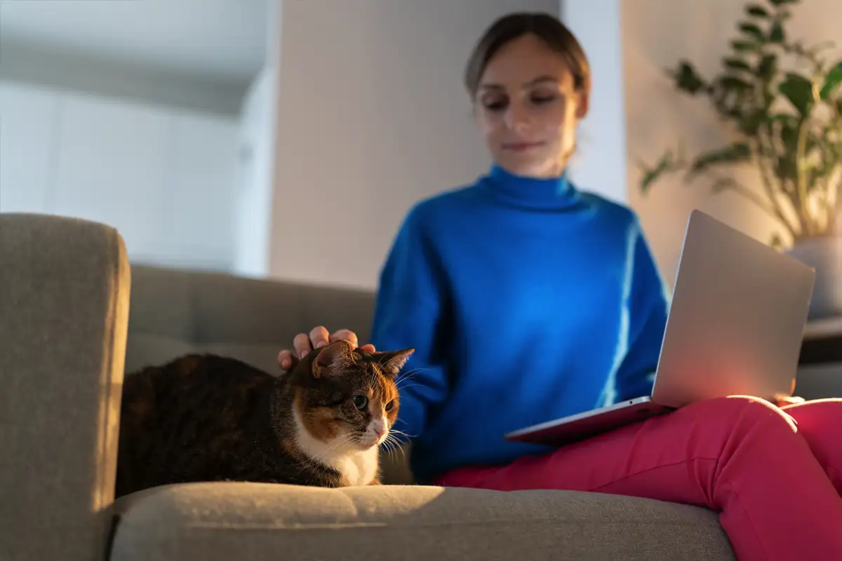 Näin kissat näyttävät pitävänsä sinua perheenjäsenenä – asiantuntijat nimesivät 7 suloista merkkiä