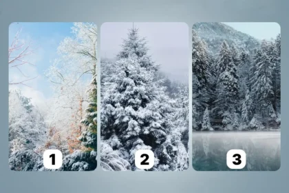 Mihin kohtalosi sinua kutsuu – valitse yksi talvimaisema ja saat tietää elämäsi syvimmän suunnan juuri nyt