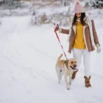 Jos et jaksa ulkoiluttaa koiraa kaksi kertaa päivässä – älä hanki koiraa