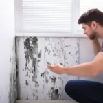 Selviä kosteudesta kodissa alumiinifoliolla – Nerokas testi paljastaa, tuleeko kosteus sisältä vai ulkoa