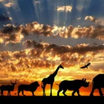 Maailman nopeimmat eläimet – nämä luvut saavat sinut haukkomaan henkeäsi