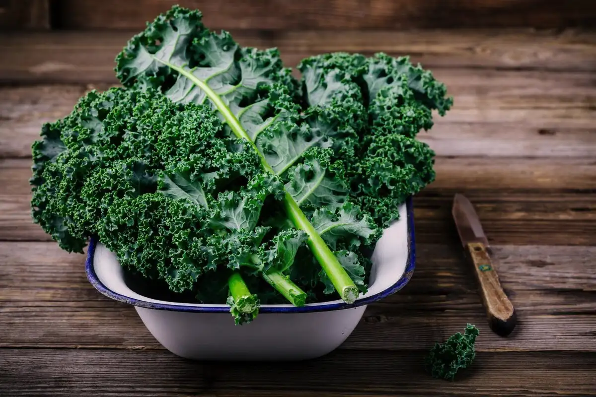 11 ruokaa, joita jokaisen yli 50-vuotiaan naisen kannattaa syödä päivittäin 