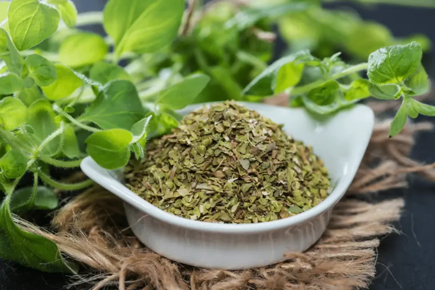 Oregano on luonnon oma supervoima – nämä terveysvaikutukset saavat sinut laittamaan sitä jokaiseen ruokaan ympäri vuoden