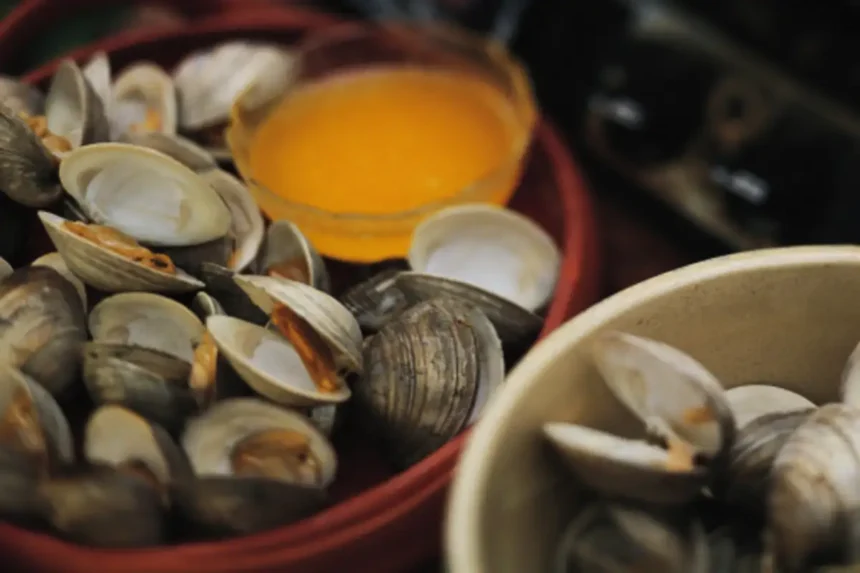 Näin puhdistat simpukat hiekasta täydellisesti – ammattilaisten tarkka menetelmä, jossa etikka ja sitruuna ovat täysin kiellettyjä