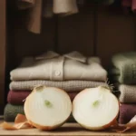 Sipuli kaapissa – vanha konsti, joka imee kosteuden, hajut ja raskaan energian yhdessä yössä