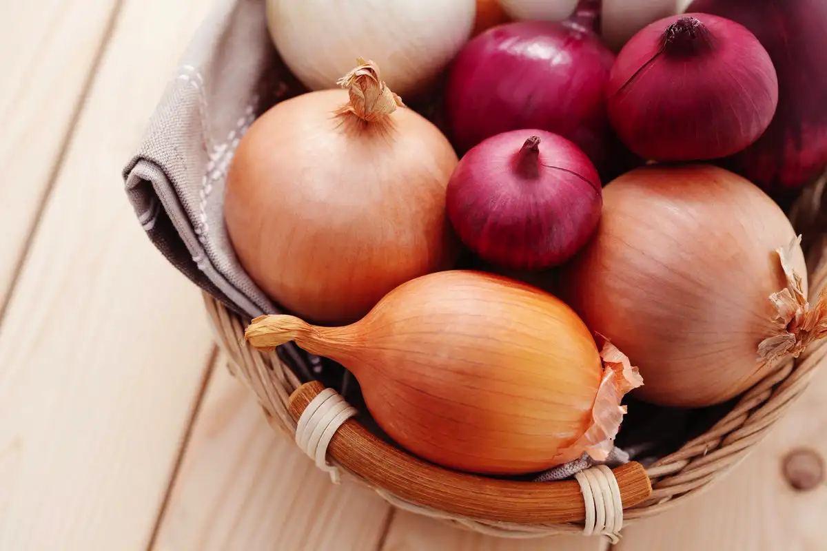 Sipuli kaapissa – vanha konsti, joka imee kosteuden, hajut ja raskaan energian yhdessä yössä