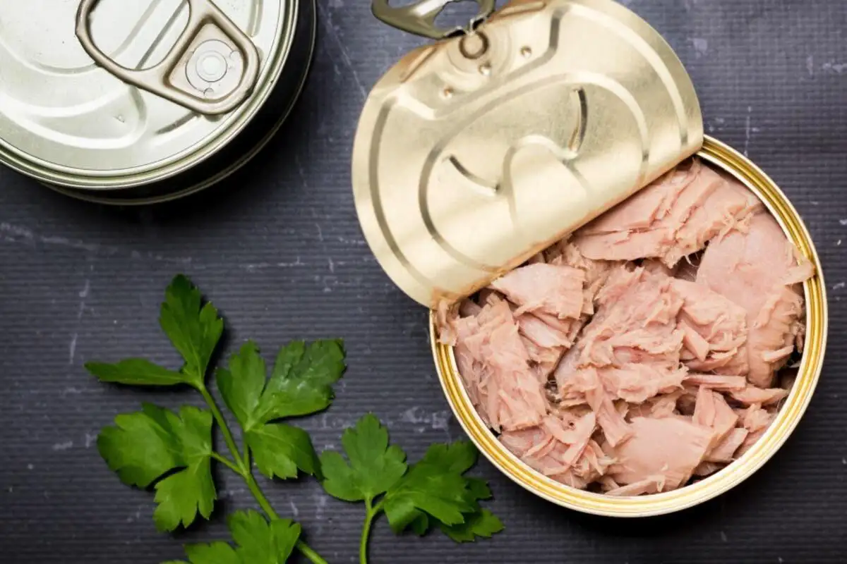 Mitä kehossasi tapahtuu, jos syöt tonnikalaa joka päivä – Ravitsemusterapeuttien tuomio