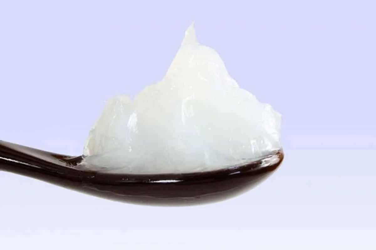 Näin pyydystät keittiön torakat vaseliinilla – tehokas kotitekoinen ansa